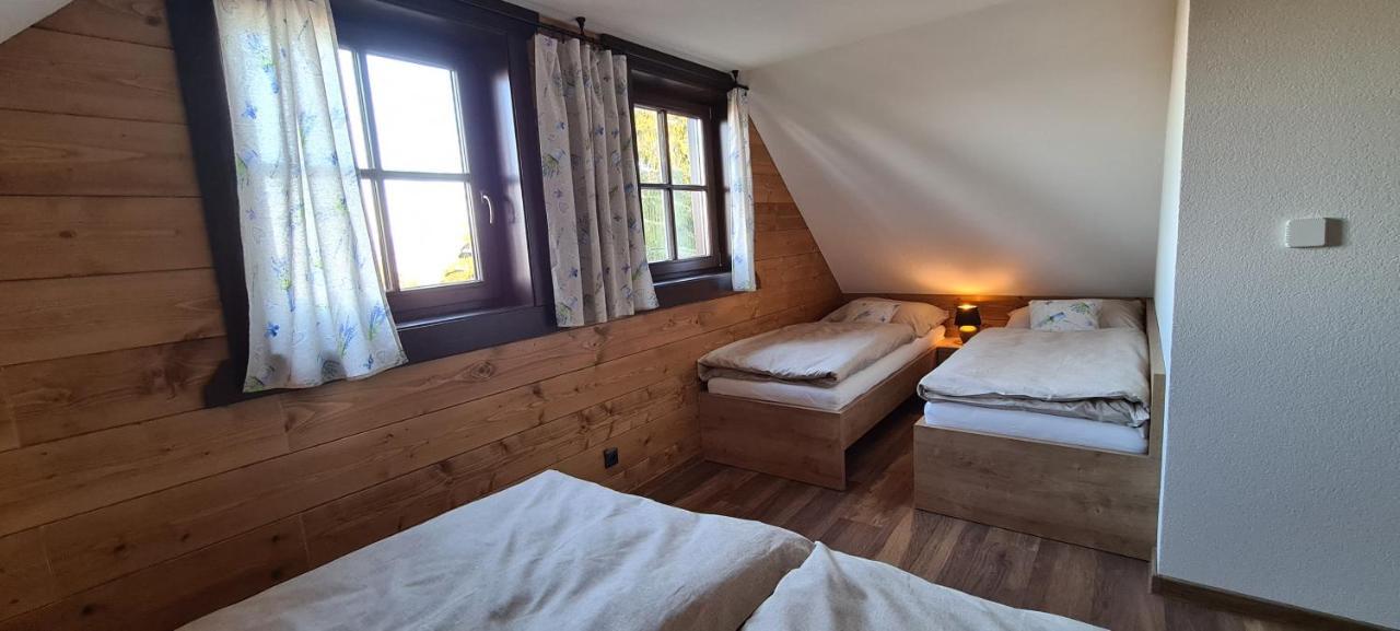 Villa Drevenica Lesanka à Demänovská Dolina Extérieur photo