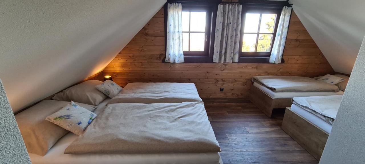 Villa Drevenica Lesanka à Demänovská Dolina Extérieur photo